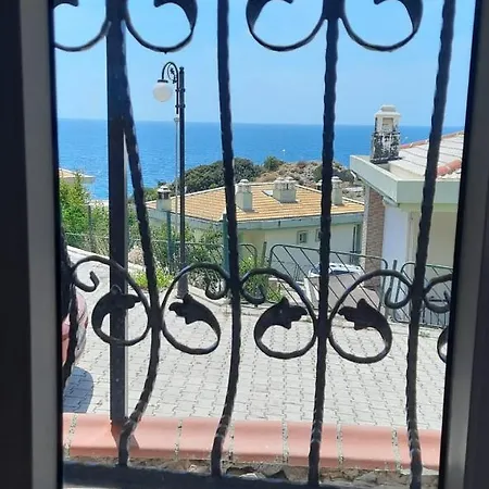 Yelken Menekse 25 *